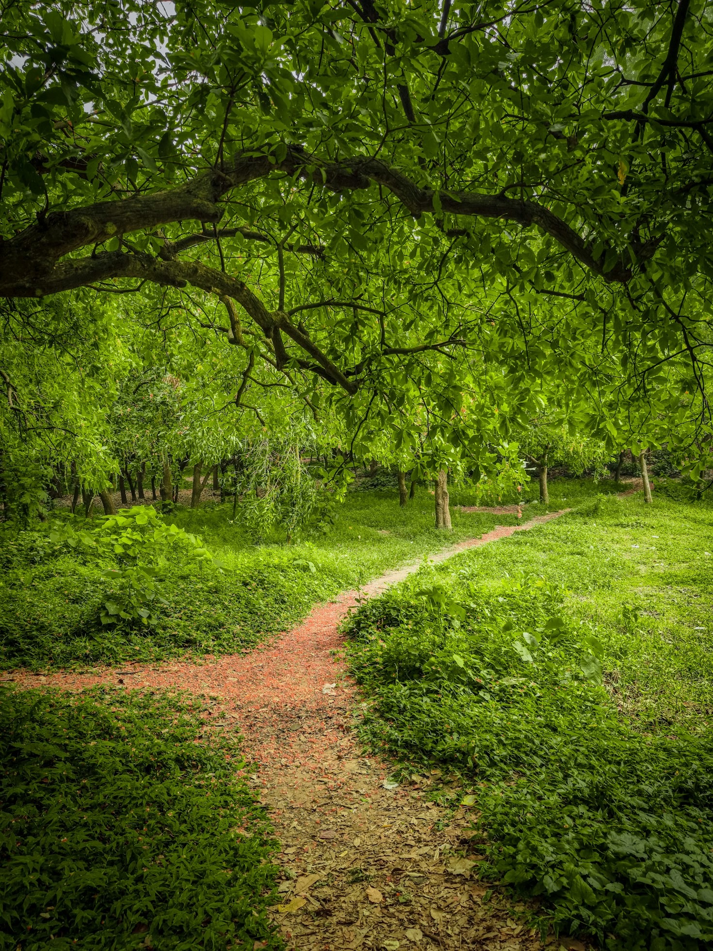 Essential Gear For Wildlife Photography Success